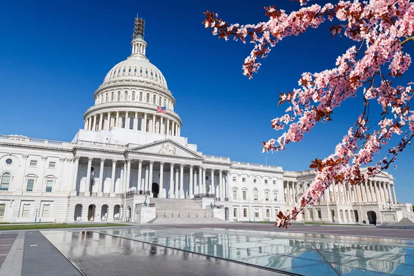 US Capitol a tavaszi napsütésben — Stock Fotó