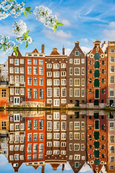 Bahar, Amsterdam'da eski binalar — Stok fotoğraf