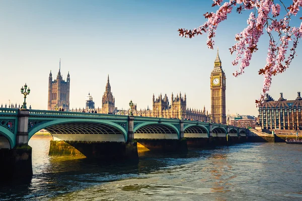 Big Ben y las Casas del Parlamento en la primavera, Londres —  Fotos de Stock