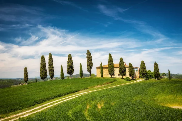Toscana vårlandskap — Stockfoto