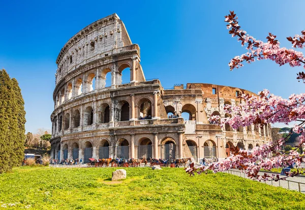 Colosseum, Bahar — Stok fotoğraf