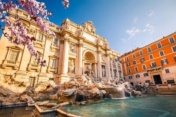 Fuente de Trevi en primavera —  Fotos de Stock