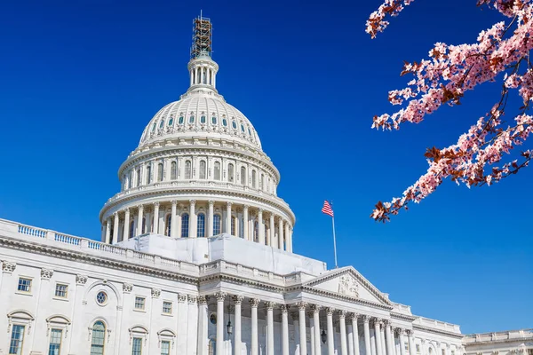 US Capitol a tavaszi napsütésben — Stock Fotó