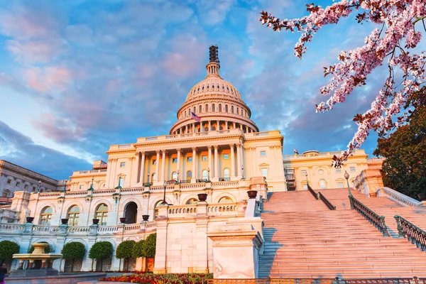 US Capitol, napsütéses tavaszi este — Stock Fotó