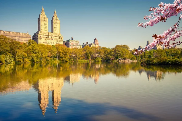 Central park på solig vårdag — Stockfoto