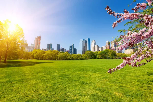 Parque central en primavera, Nueva York — Foto de Stock