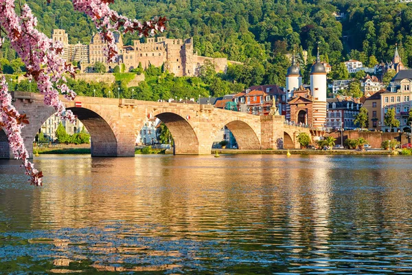 Brücke in Heidelberg — Stockfoto