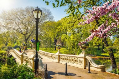 Central park at spring, New York clipart