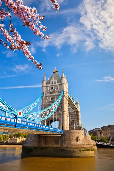 A tavasz a londoni Tower híddal — Stock Fotó