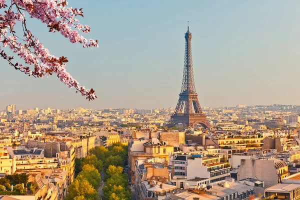 봄에서 에펠 탑 — 스톡 사진