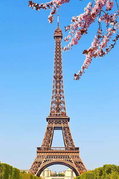 Eiffel Tower at spring — Stock Photo, Image