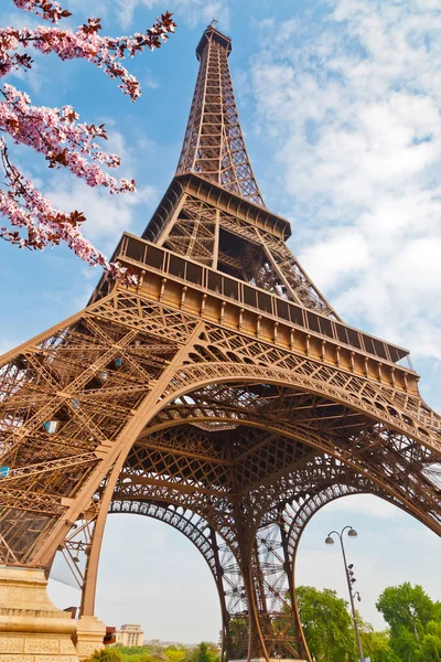 Torre Eiffel na primavera — Fotografia de Stock