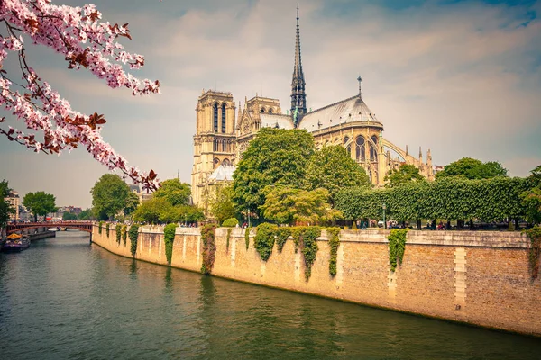 Notre Dame de Paris na jaře — Stock fotografie