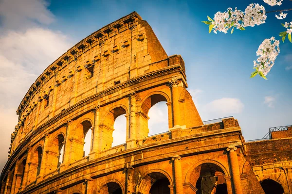 Colosseum bij zonsondergang — Stockfoto