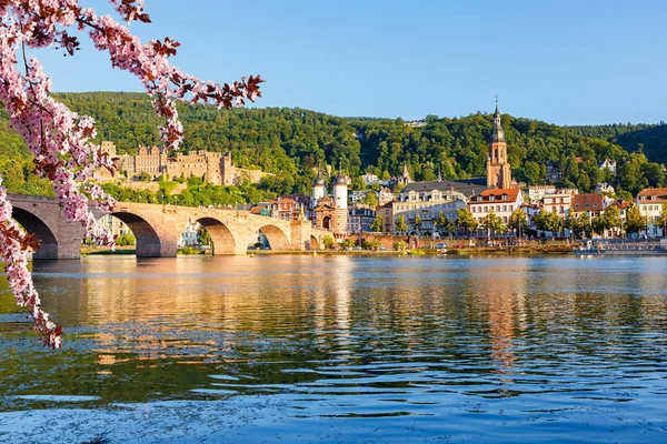 Heidelberg in primavera — Foto Stock