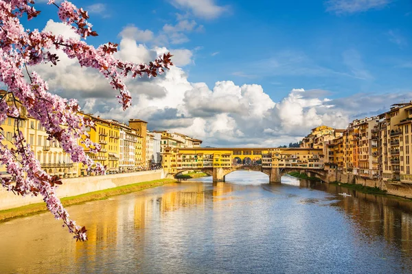 Арно весной во Флоренции — стоковое фото