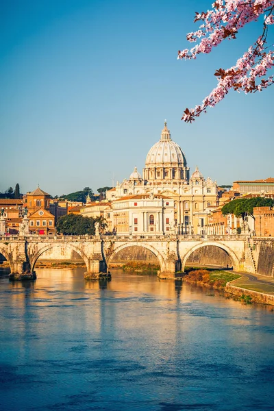 Catedral de St. Peters na primavera — Fotografia de Stock