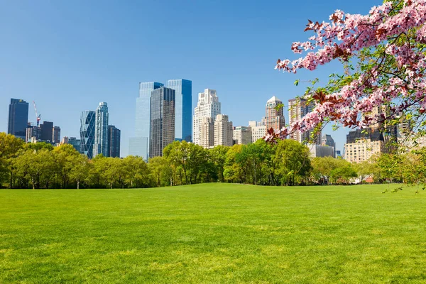Центральный парк весной, Нью-Йорк — стоковое фото
