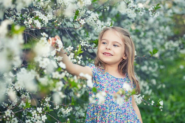 Lycklig liten flicka i körsbärsblom trädgård — Stockfoto