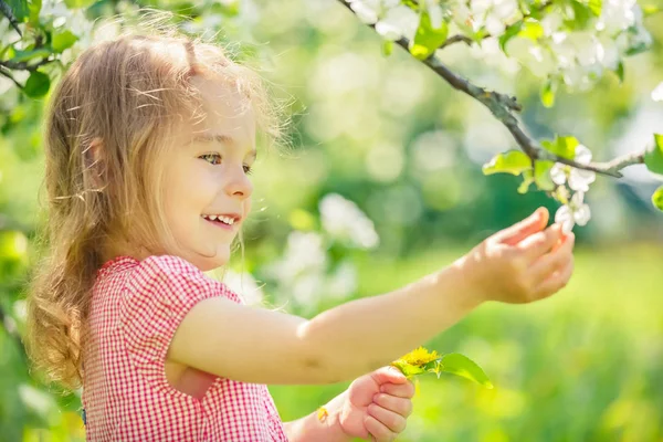 Happy little girl in apple tree garden — Stock Photo, Image