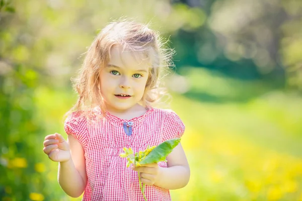 Glückliches kleines Mädchen im sonnigen Park — Stockfoto