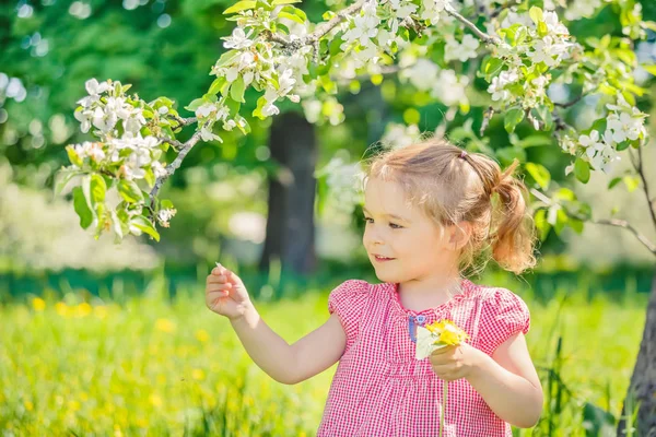 สาวน้อยมีความสุขในสวนต้นแอปเปิ้ล — ภาพถ่ายสต็อก