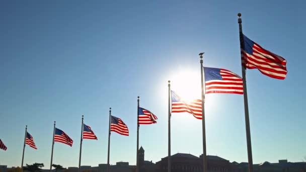 Флаги США — стоковое видео
