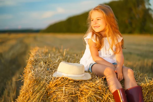 Маленькая девочка в поле с сенокосами — стоковое фото
