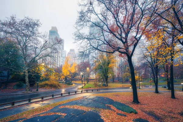 NY Parque central en la mañana lluviosa — Foto de Stock