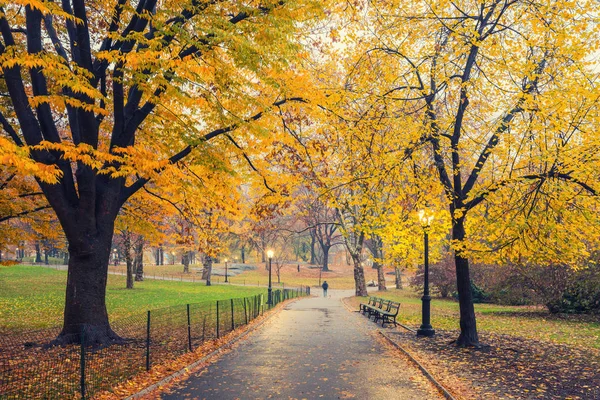 Ny Central park na mlhavé ráno — Stock fotografie