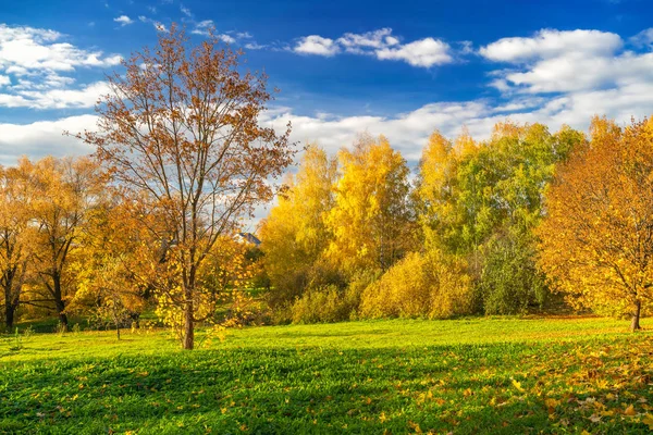 Sunny autumn in countryside — Stock Photo, Image