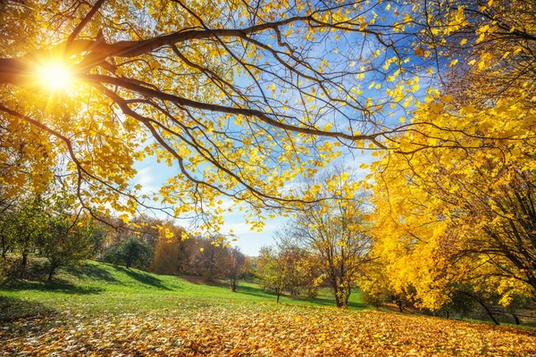 阳光明媚的秋天，在农村 — 图库照片