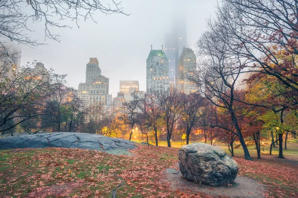 NY Central park på regnig morgon — Stockfoto