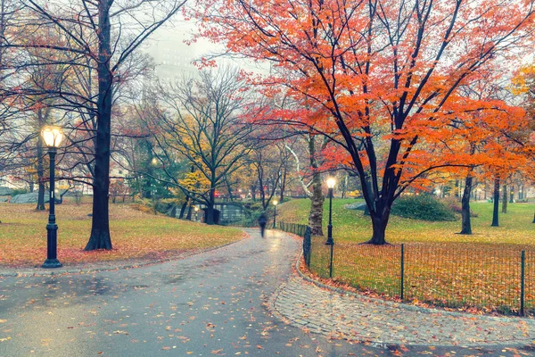 NY Central park op regenachtige dag — Stockfoto