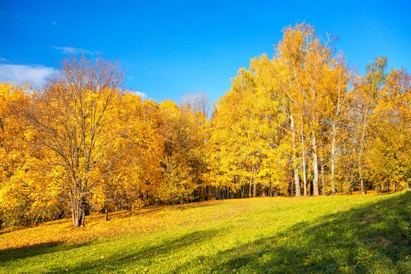 Soleado otoño en el campo — Foto de Stock