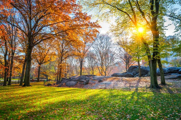 Central park w słoneczny jesienny dzień — Zdjęcie stockowe