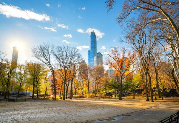 Central park w słoneczny jesienny dzień — Zdjęcie stockowe