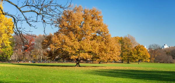 Parque central en el soleado día de otoño —  Fotos de Stock