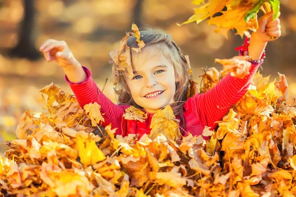 Happy little girl plays with autumn leaves — Stock Photo, Image