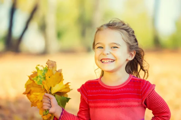 Happy little girl with autumn leaves — Stock Photo, Image