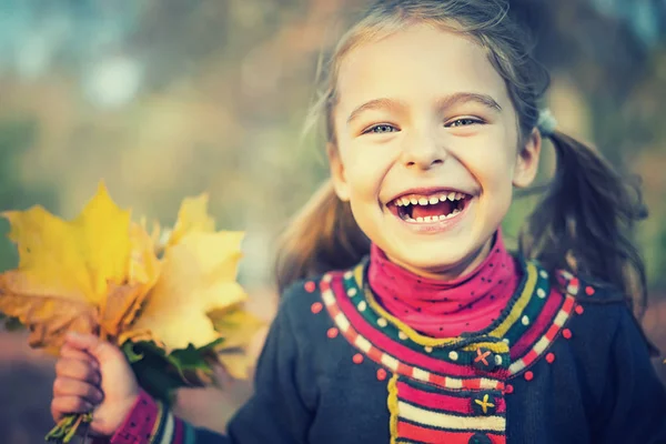 Счастливая маленькая девочка с осенними листьями — стоковое фото
