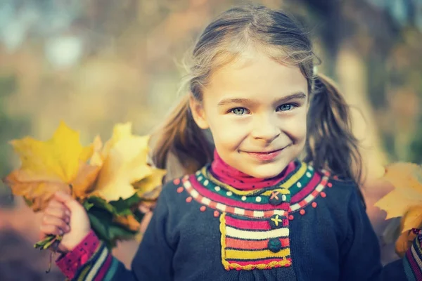 Щаслива маленька дівчинка з осіннім листям — стокове фото