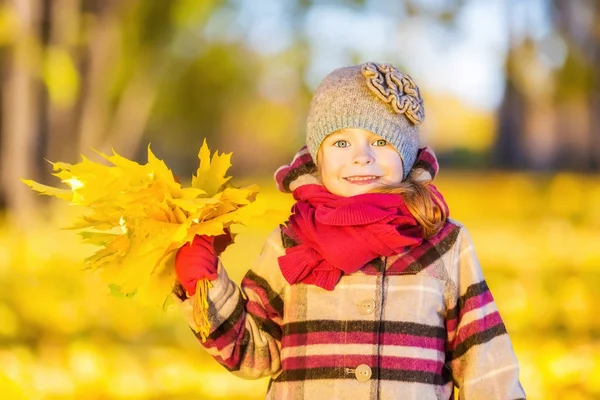 Glückliches kleines Mädchen mit Herbstblättern — Stockfoto