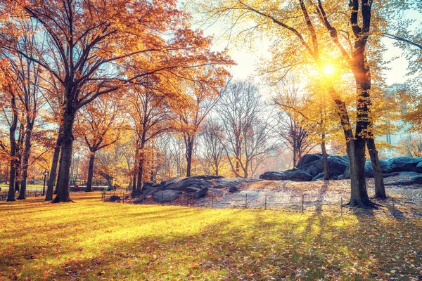 Central park op herfst ochtend — Stockfoto