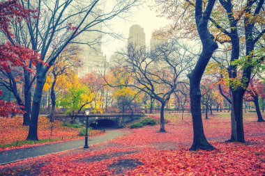 NY Central park at rainy morning clipart