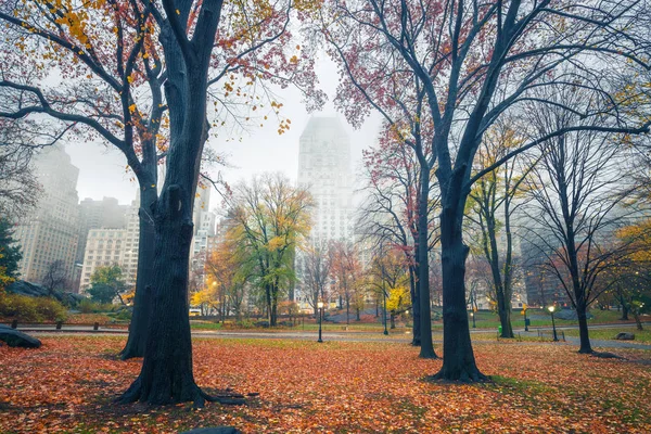 Centrální park NY v deštivém ránu — Stock fotografie