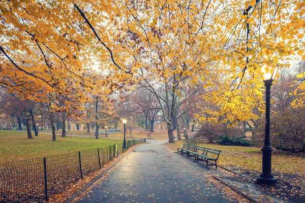 Ny Central park på Dimmig morgon — Stockfoto