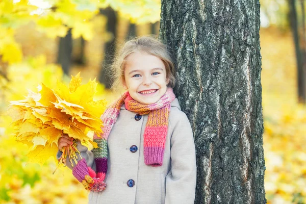 Menina feliz com folhas de outono — Fotografia de Stock