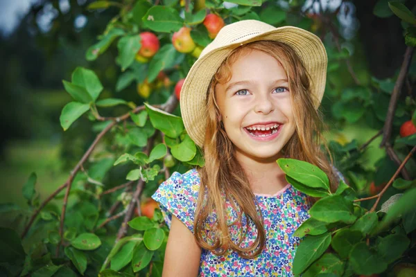 在苹果的花园里的小女孩 — 图库照片