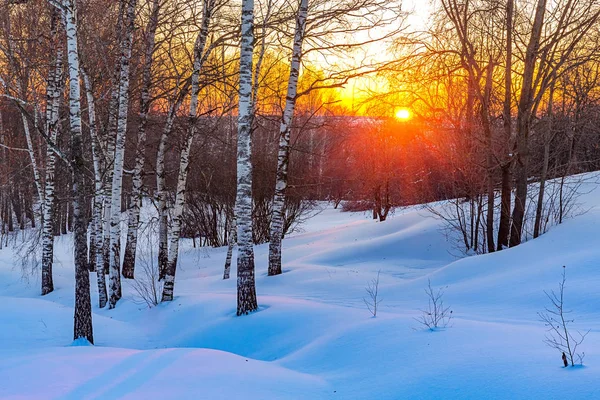 Färgglada vinter sunset — Stockfoto